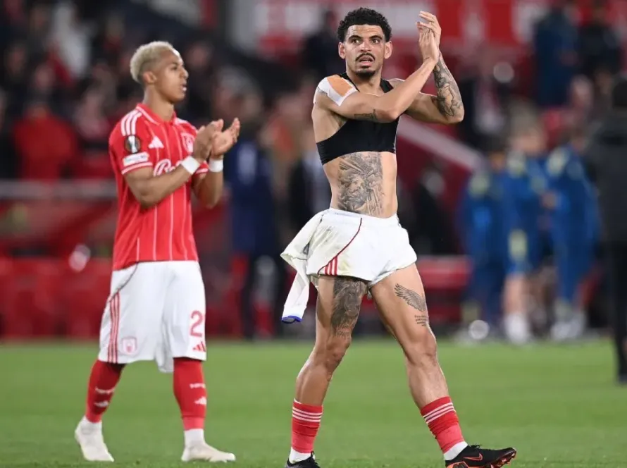 Forest Win